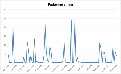 PADAVINE MARIBOR 3CETRTLETJE 2021